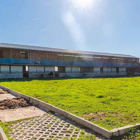 Ferma Gold By Pikhost Apartment