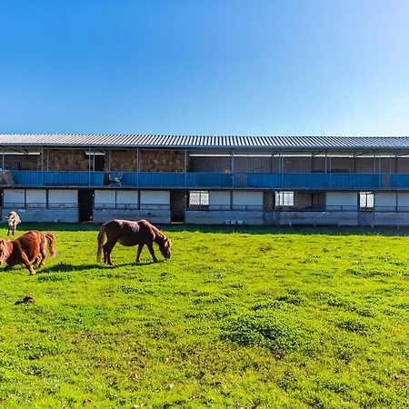 Ferma Gold By Pikhost Apartment *