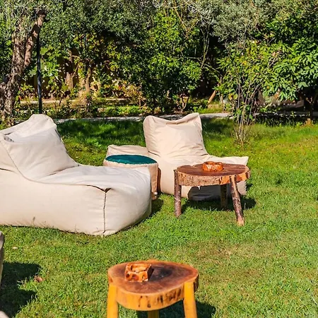 Ferma Gold By Pikhost * Tirana