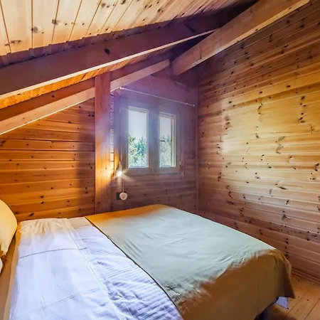 Ferma Gold By Pikhost * Tirana