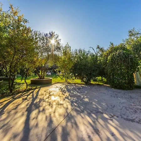 Ferma Gold By Pikhost تيرانا