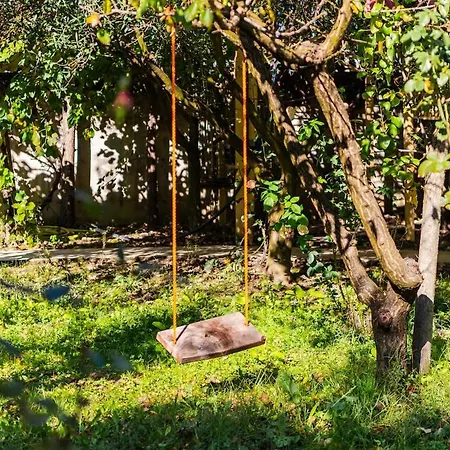 Ferma Gold By Pikhost