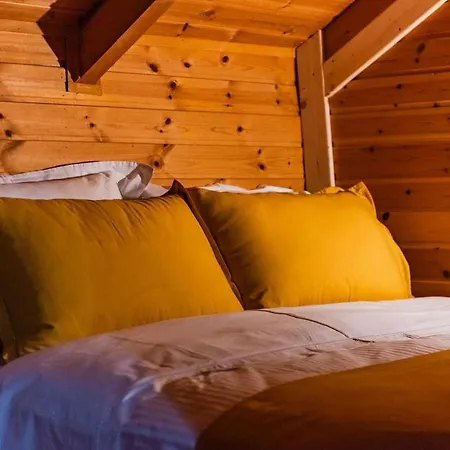 Ferma Gold By Pikhost Tirana