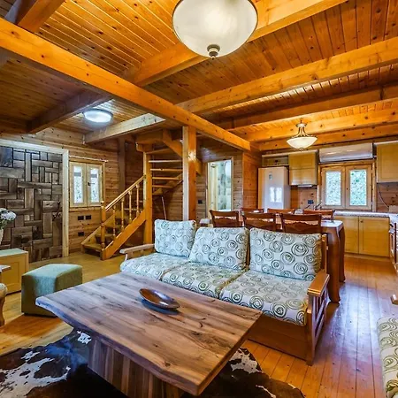 Ferma Gold By Pikhost تيرانا