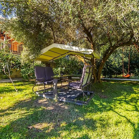 Ferma Gold By Pikhost