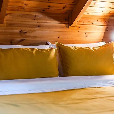 Apartament Ferma Gold By Pikhost Tirana