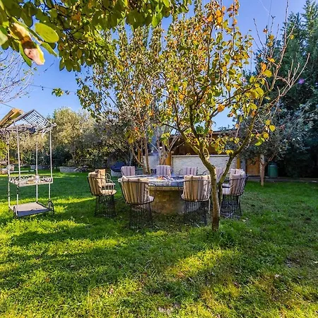 Ferma Gold By Pikhost