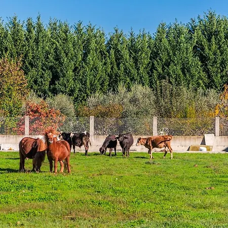 Apartament Ferma Gold By Pikhost *