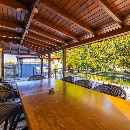 Ferma Gold By Pikhost تيرانا