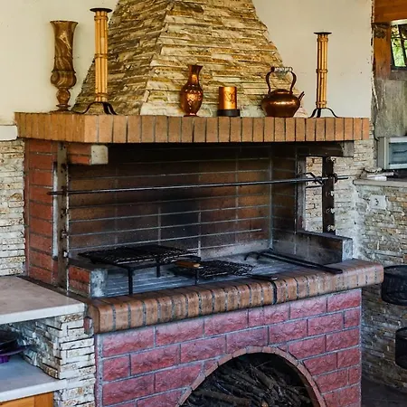 Ferma Gold By Pikhost * Tirana