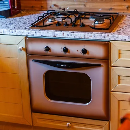 Ferma Gold By Pikhost 公寓 地拉那