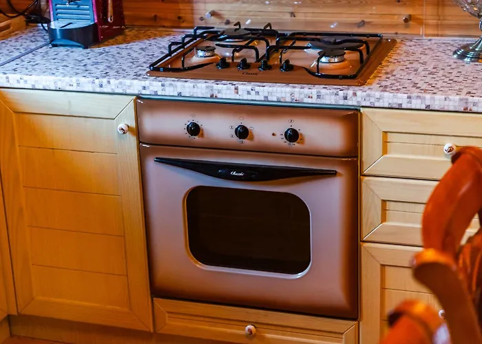 Ferma Gold By Pikhost 公寓 地拉那