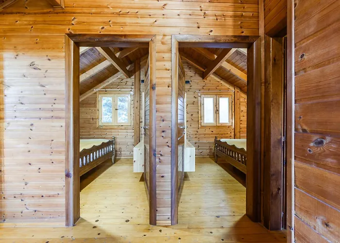 Ferma Gold By Pikhost 地拉那