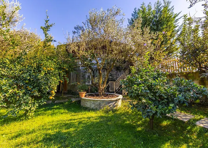 公寓 Ferma Gold By Pikhost 地拉那