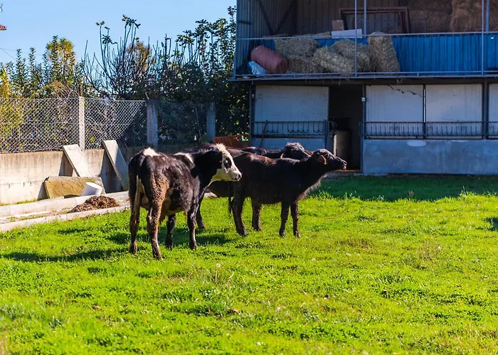 Ferma Gold By Pikhost 公寓 *