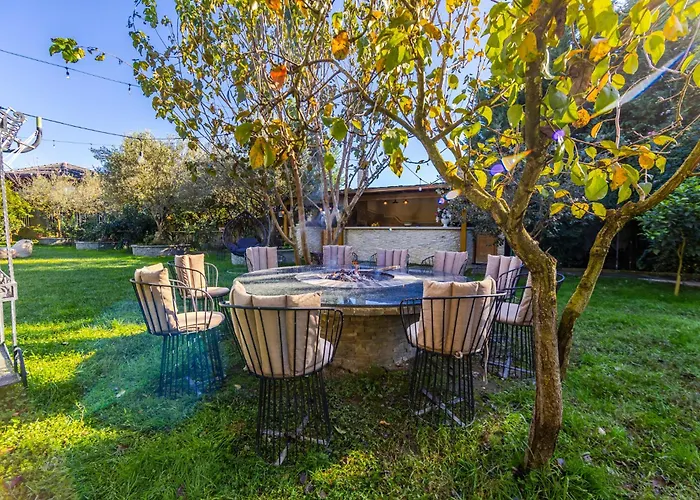 Ferma Gold By Pikhost 地拉那