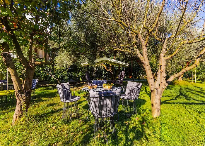 Ferma Gold By Pikhost 公寓 地拉那