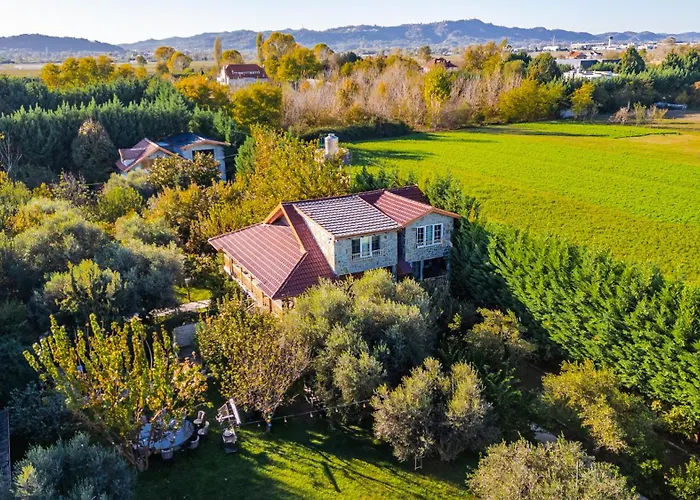 Ferma Gold By Pikhost * 地拉那