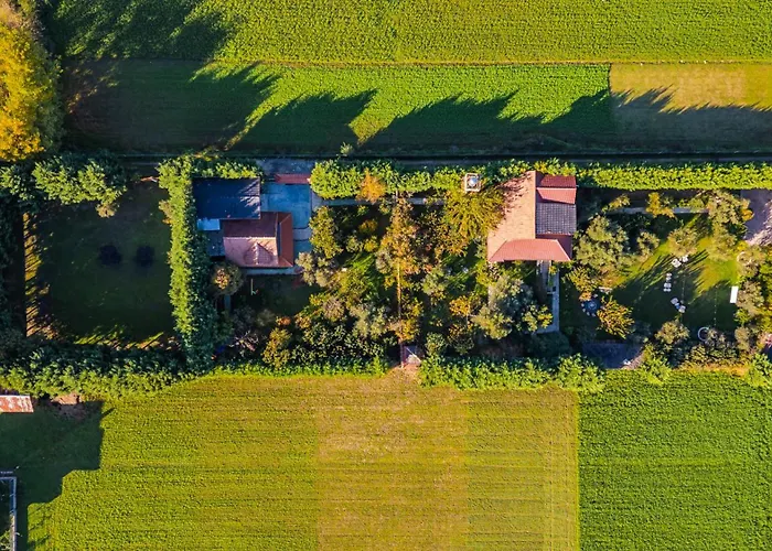 Ferma Gold By Pikhost 公寓